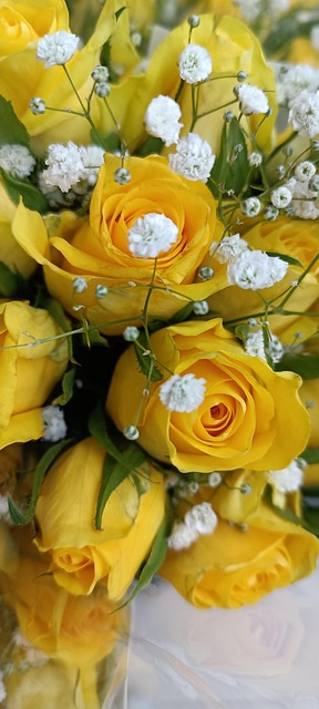 Schöne, Blüte, Blühen, Strauß, Hell