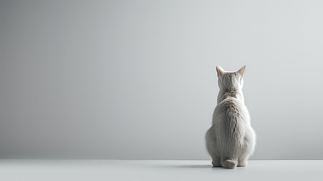 Free ai generated cat animal illustration