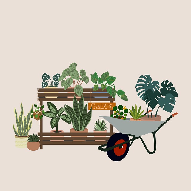 Carretilla, Plantas, Ventas, Monstruosa