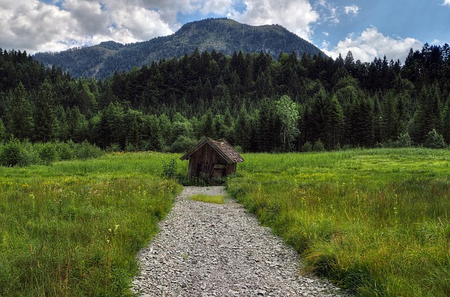 House Nature Home - Free photo on Pixabay - Pixabay