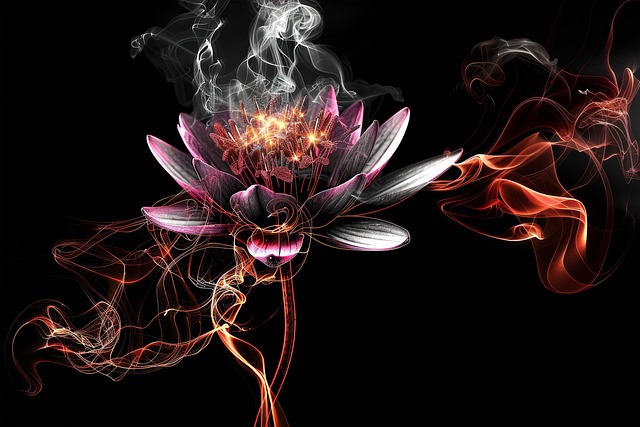 Free Lily Flower illustration and picture