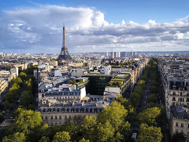 Free paris eiffel tower france illustration