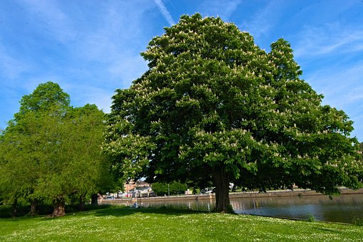 Free Landscape Sky photo and picture