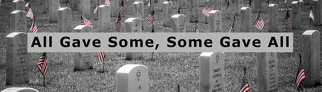 Free memorial day memorial usa illustration