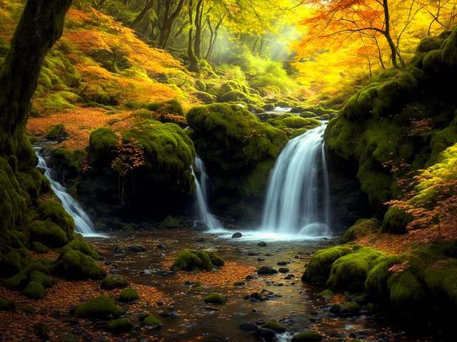 Free river waterfall jungle illustration