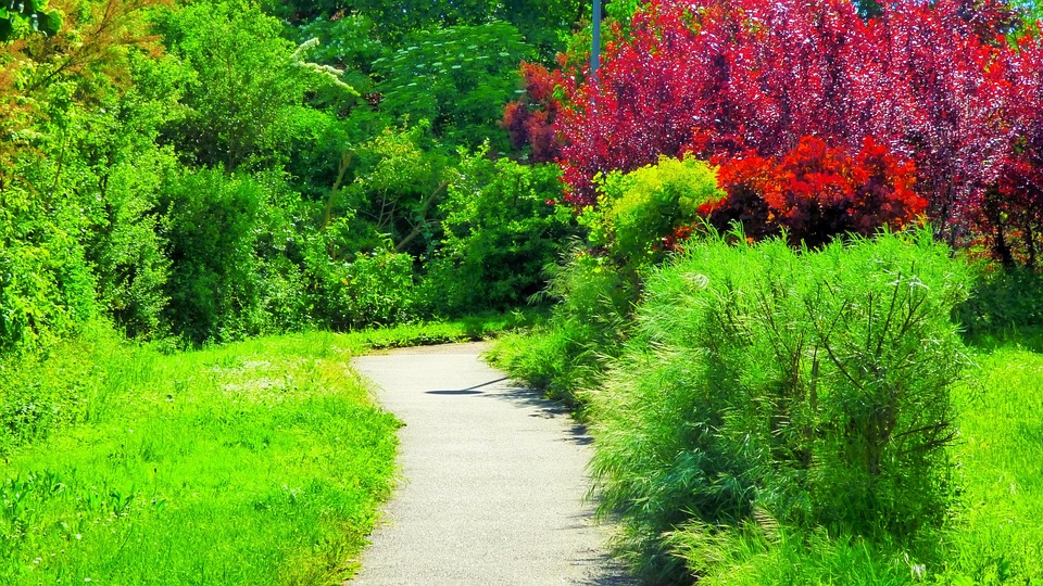 Nature Loading Path Nature Landscape - Free photo on Pixabay
