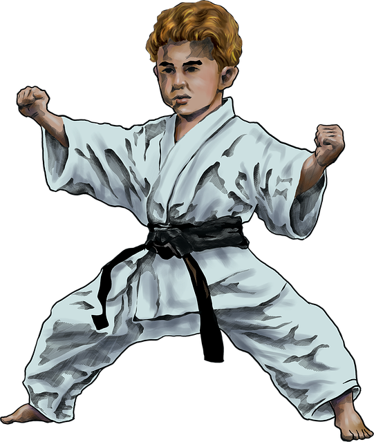 Free martialart karate combat illustration