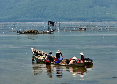 Free Boat Fishing Boat photo and picture