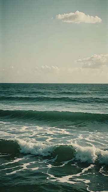 Free Water Sea illustration and picture
