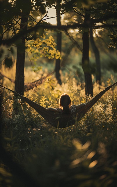 Download free HD stock image of Forest Hammock Free forest hammock relaxation illustration