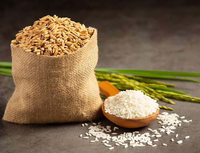 Free Rice Seeds photo and picture