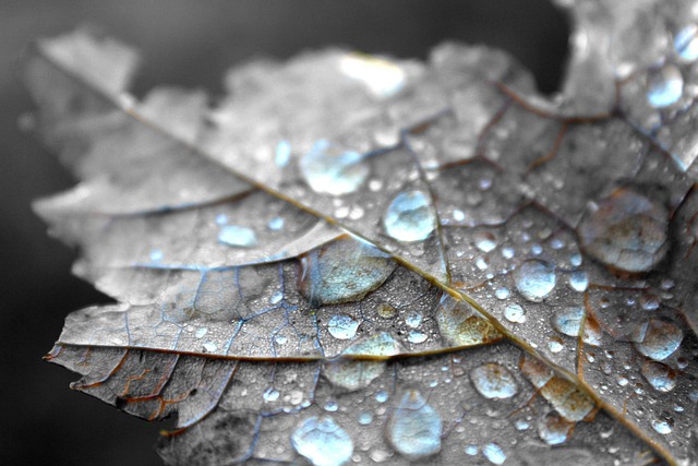 Free ai generated leaf crystal illustration
