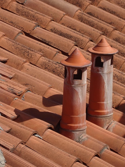 Free Roof Roof Tiles photo and picture
