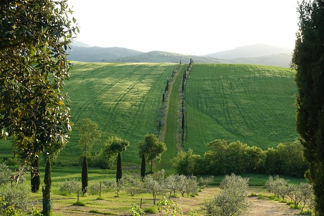 Free Tuscany Italy photo and picture