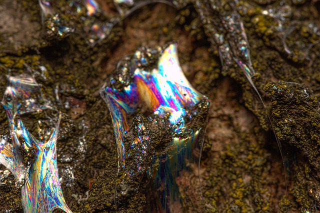 Free Tree Sap Sap photo and picture