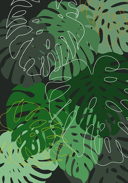 Free monstera leaves plants illustration