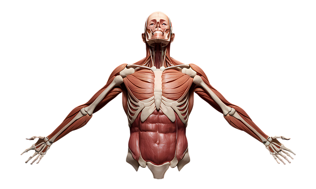 Free Ai Generated Human illustration and picture