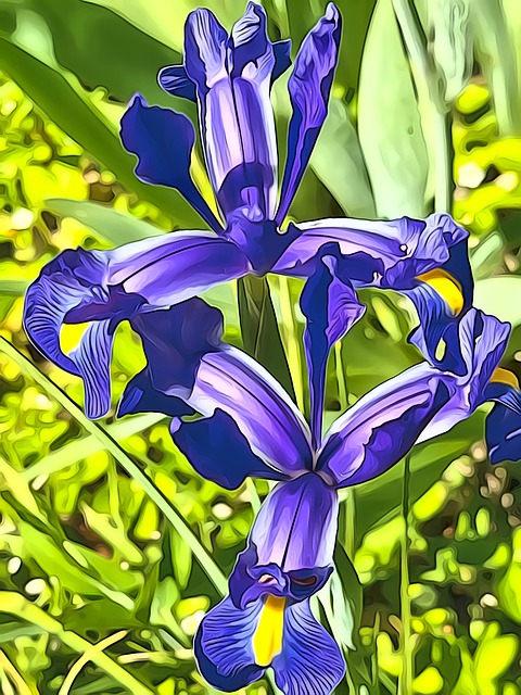 Free Flower Nature illustration and picture