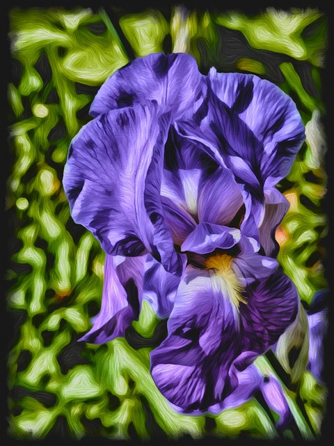 Free Flower Nature illustration and picture