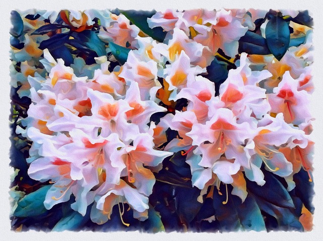 Free Flowers Petals illustration and picture