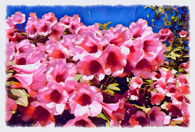 Free Flowers Petals illustration and picture