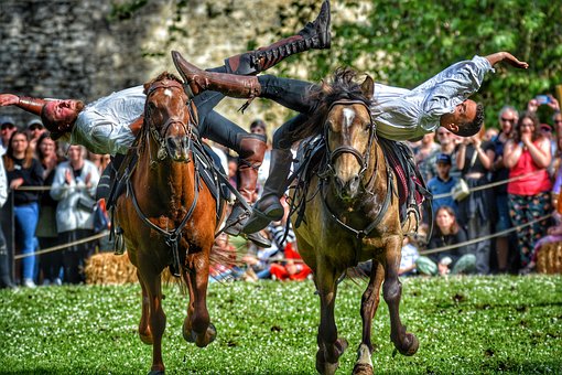 Free Chateau Horses photo and picture