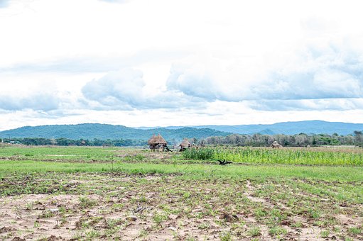 Agricultura, Panorama, Natureza, Campo