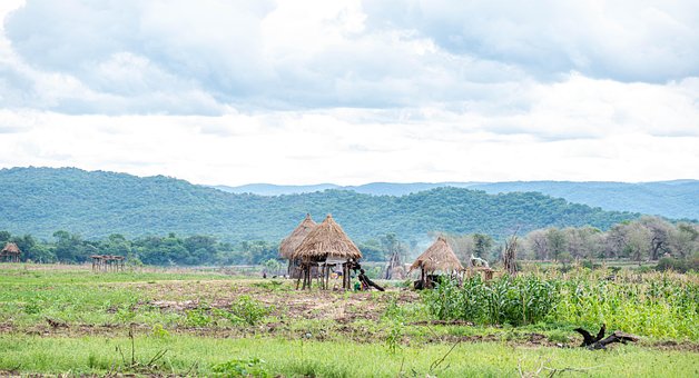 Milho, Campo, Clima, Meio Ambiente