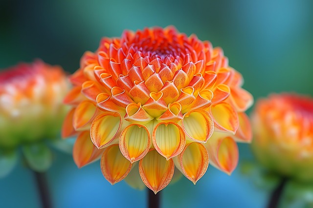 Ai Generiert, Blume, Pflanze, Blüte