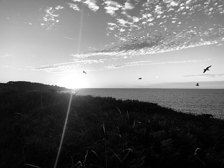 Zee, Strand, Oceaan, Natuur, Landschap