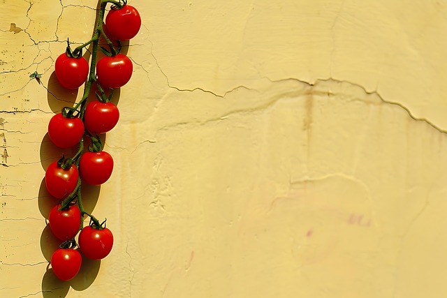 Free ai generated berries cranberries illustration