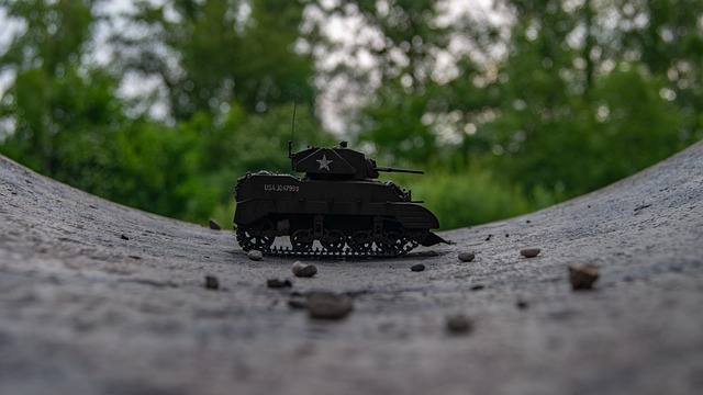 Free Tank Model photo and picture