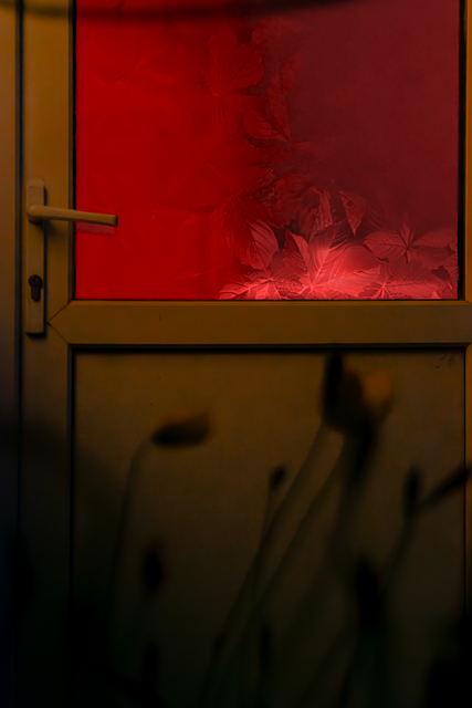 Free Garden Door illustration and picture