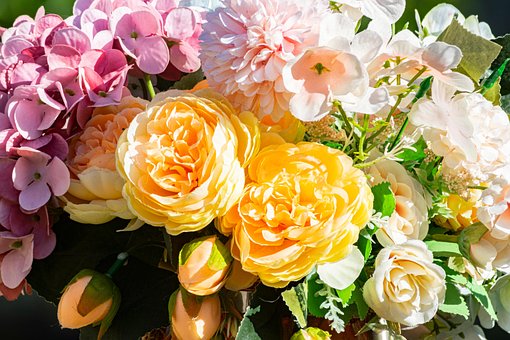 Blomst, Natur, Blomstre, Kronblad, Bloom