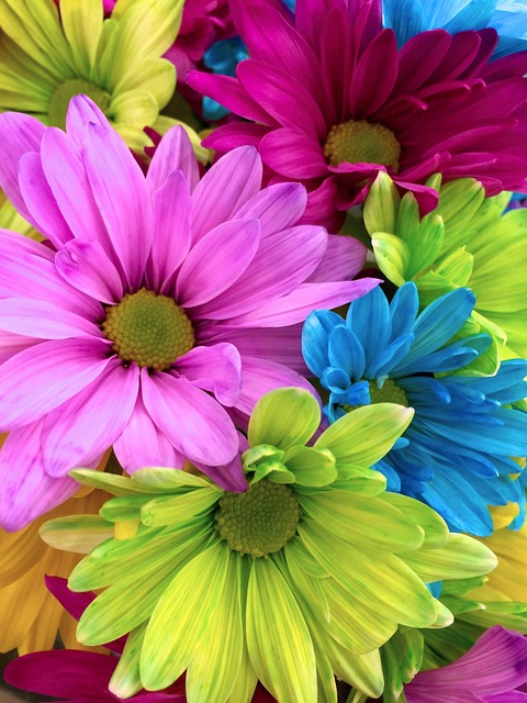 Free Nature Spring photo and picture