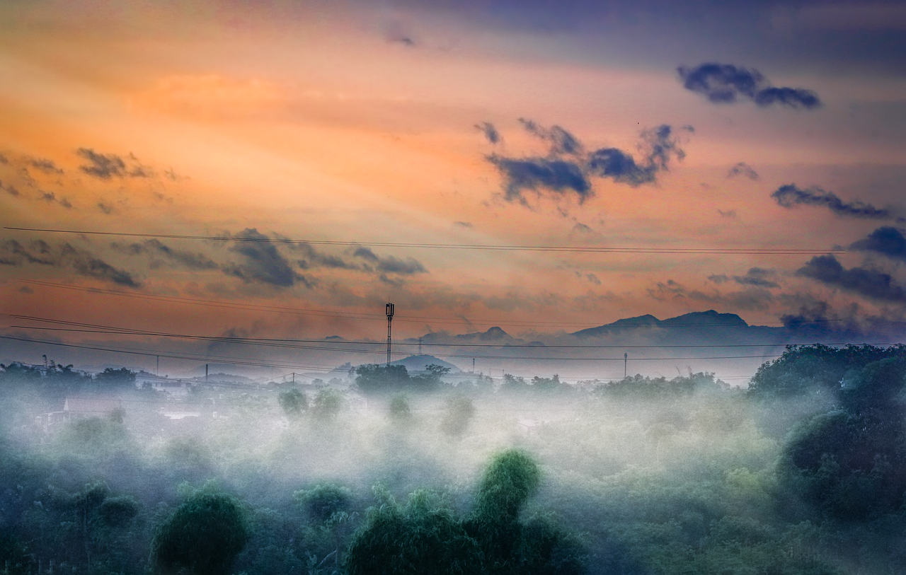 多雾路段 树 上帝 - Pixabay上的免费图片 - Pixabay