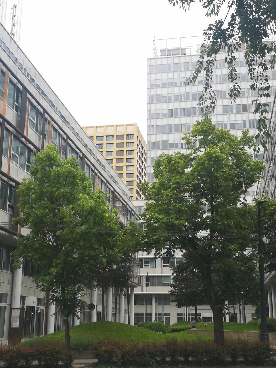 Buildings Panorama Trees The - Free photo on Pixabay - Pixabay