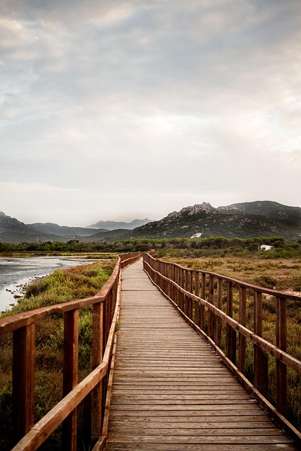 Free Bridge Nature photo and picture
