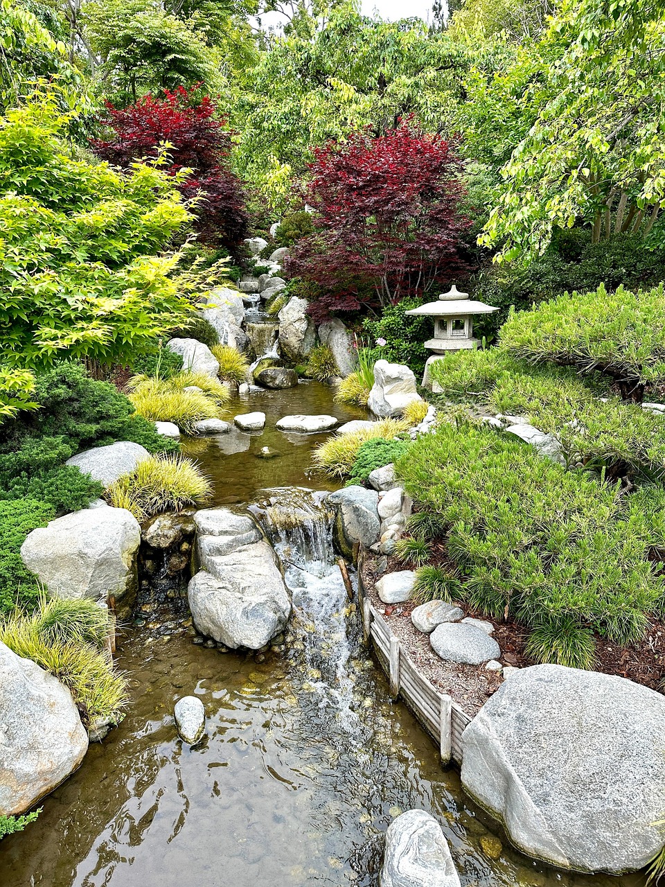 Japanese Garden Balboa Park San - Free photo on Pixabay - Pixabay