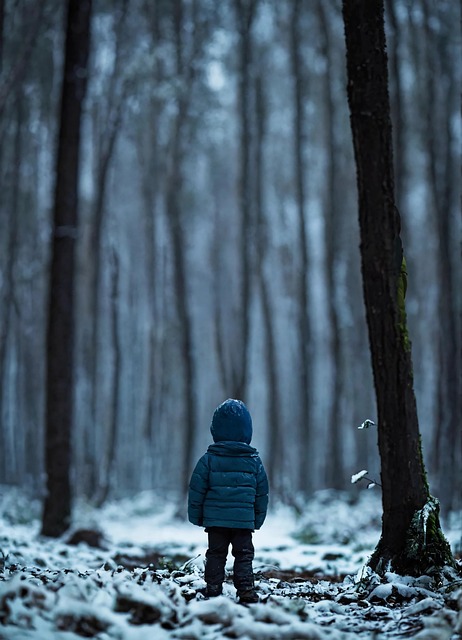 Junge, Baby, Kinder, Die Natur, Porträt