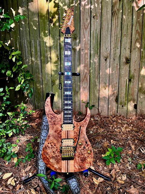 Ibanez, Elektrisk, Guitar, Instrument