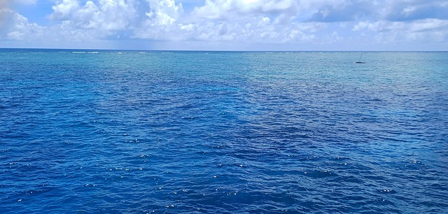 Free Australia Ocean photo and picture