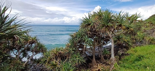 Free Australia Gold Coast photo and picture