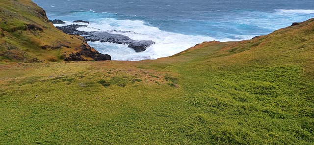 Free Australia Grass photo and picture
