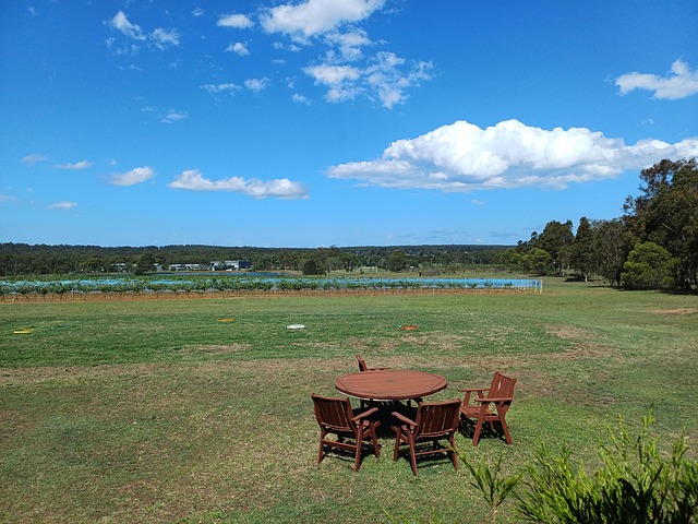 Free Australia Wine photo and picture