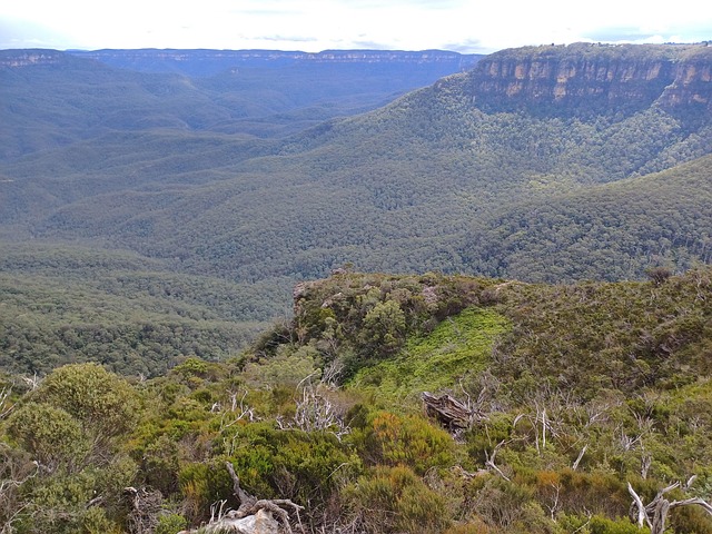 Free Blue Mountain Australia photo and picture