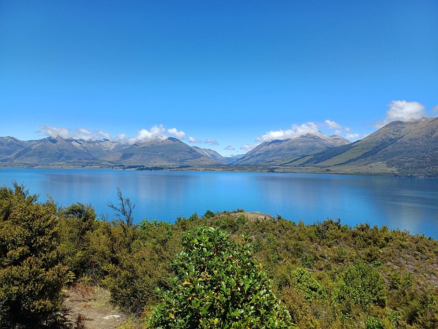 Free New Zealand Coast photo and picture