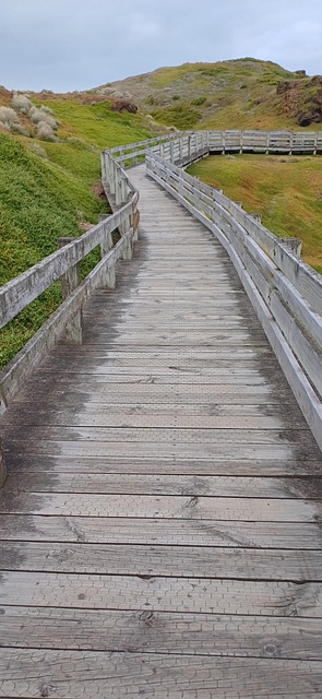 Free Phillips Island Australia photo and picture