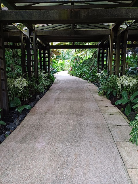 Free Singapore Botanical Garden photo and picture
