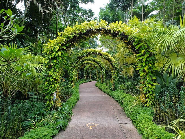 Free Singapore Botanical Garden photo and picture